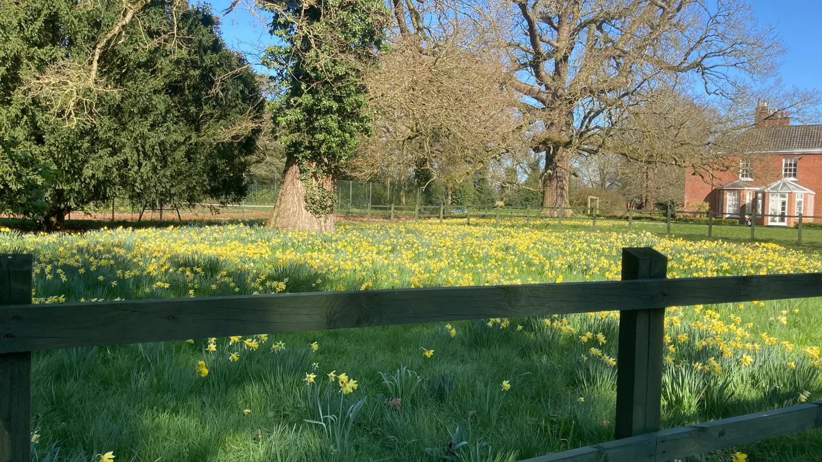 Lingwood Hall grounds in spring